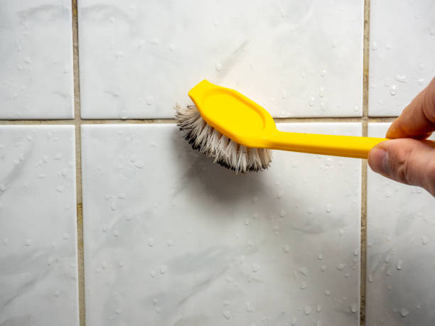 Best Black Mold Removal  in Crowley Lake, CA