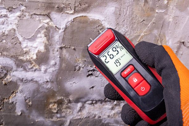 Crawl Space Mold Removal in Crowley Lake, CA