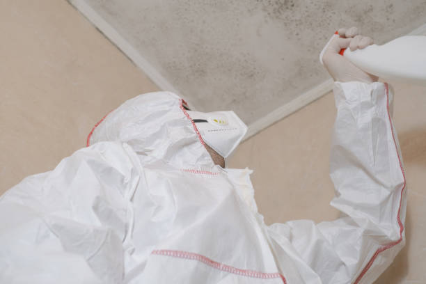 Best Office Mold Removal Services  in Crowley Lake, CA